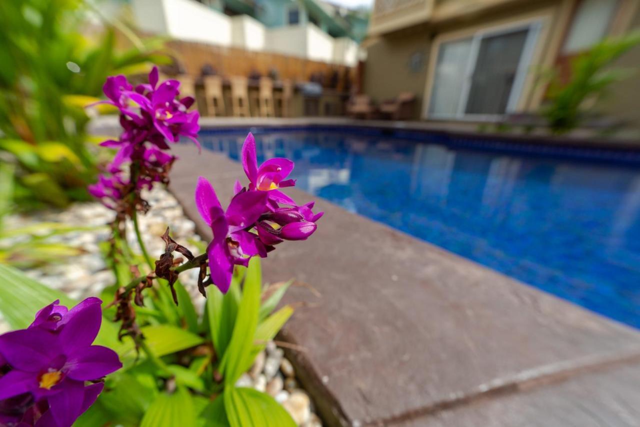 Studio With Mini Kitchen, Pool And Bbq, Pre-Renovation Summer Sale Kihei Extérieur photo