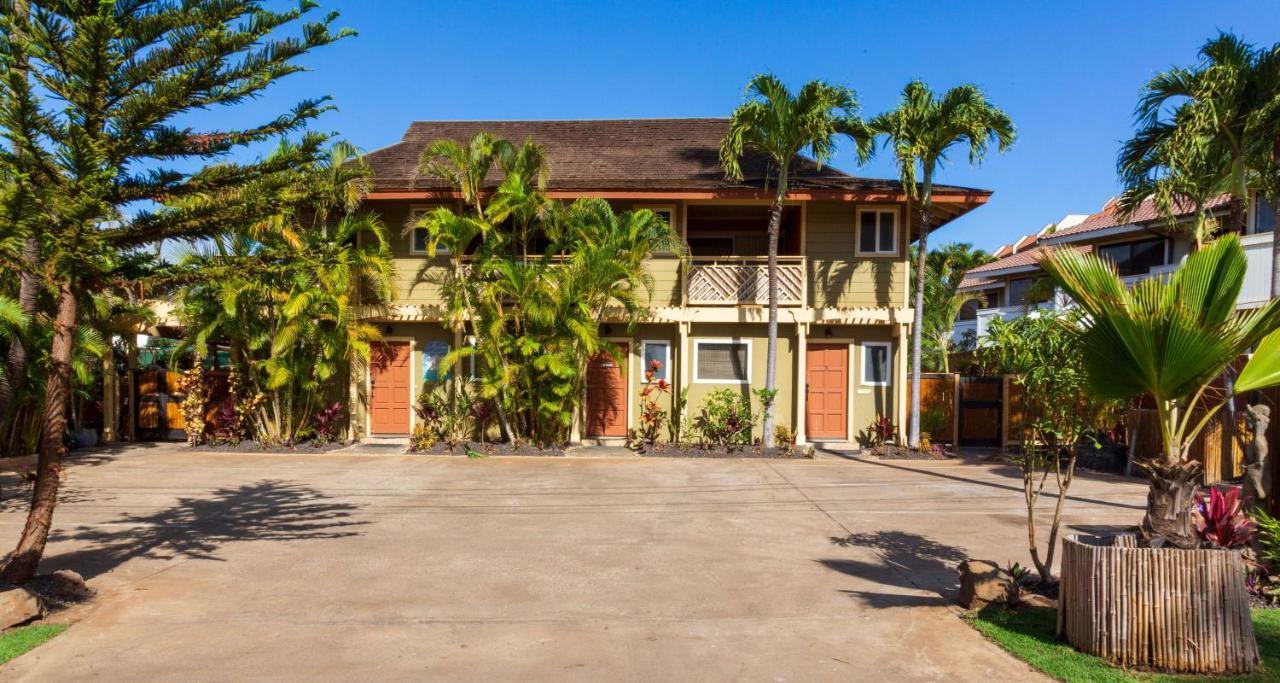 Studio With Mini Kitchen, Pool And Bbq, Pre-Renovation Summer Sale Kihei Extérieur photo