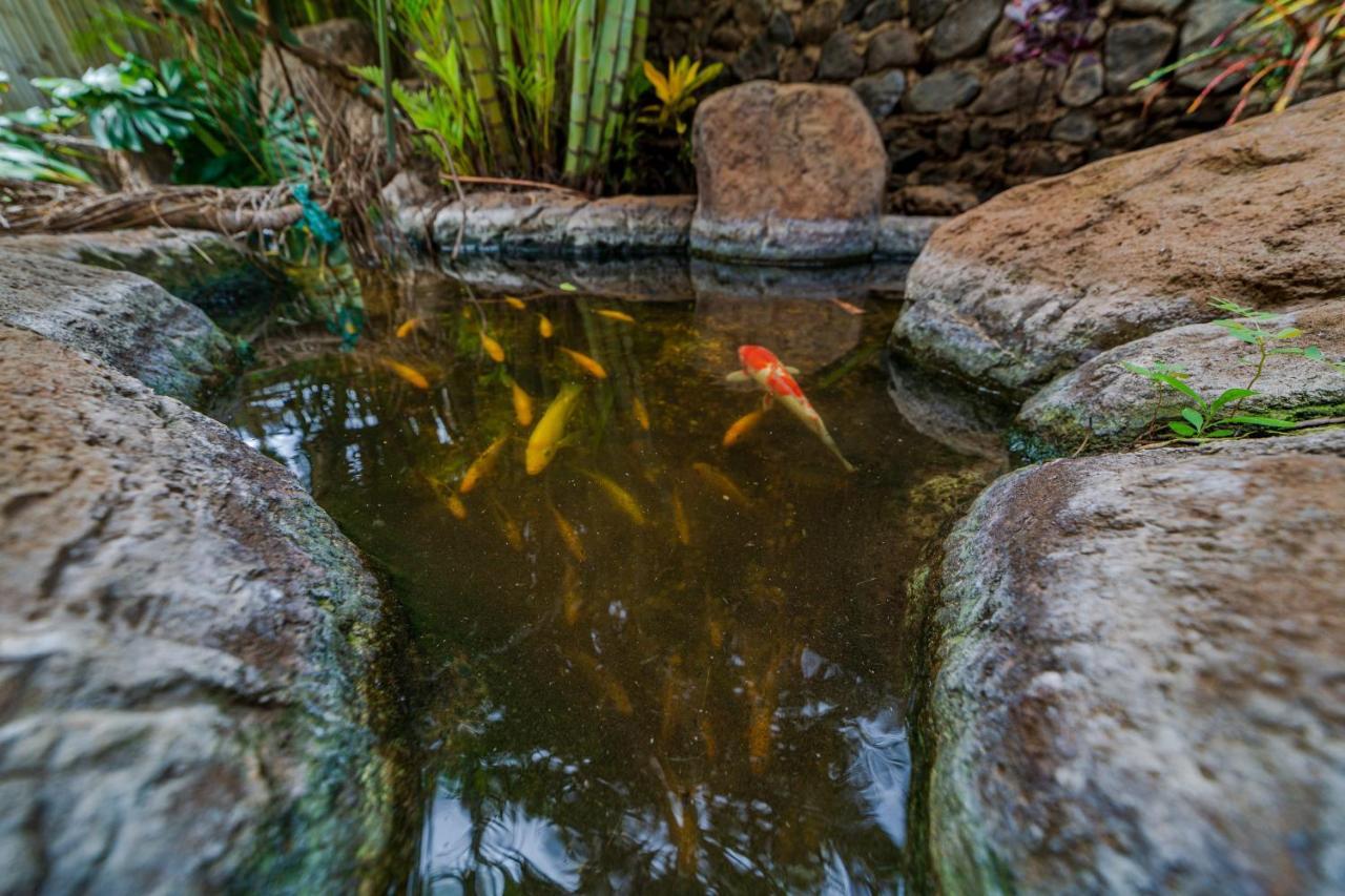 Studio With Mini Kitchen, Pool And Bbq, Pre-Renovation Summer Sale Kihei Extérieur photo